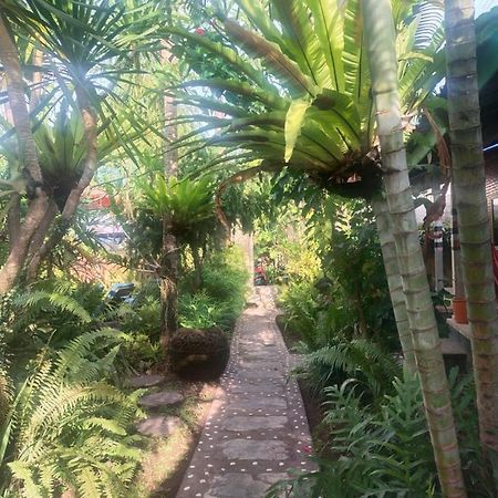 Comeback Guesthouse Canggu Dış mekan fotoğraf