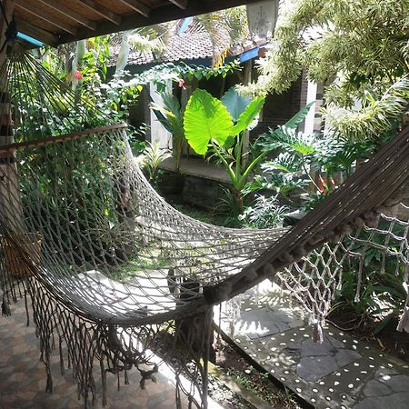 Comeback Guesthouse Canggu Dış mekan fotoğraf