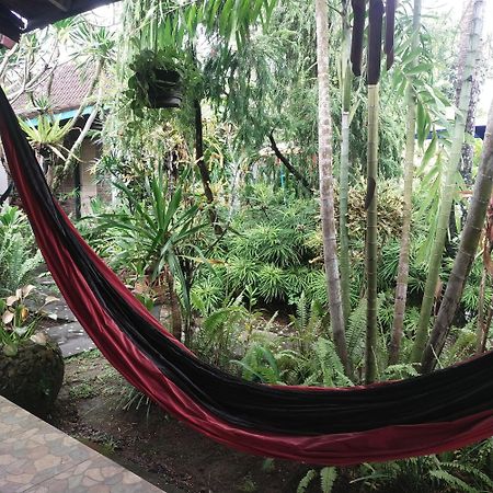 Comeback Guesthouse Canggu Dış mekan fotoğraf