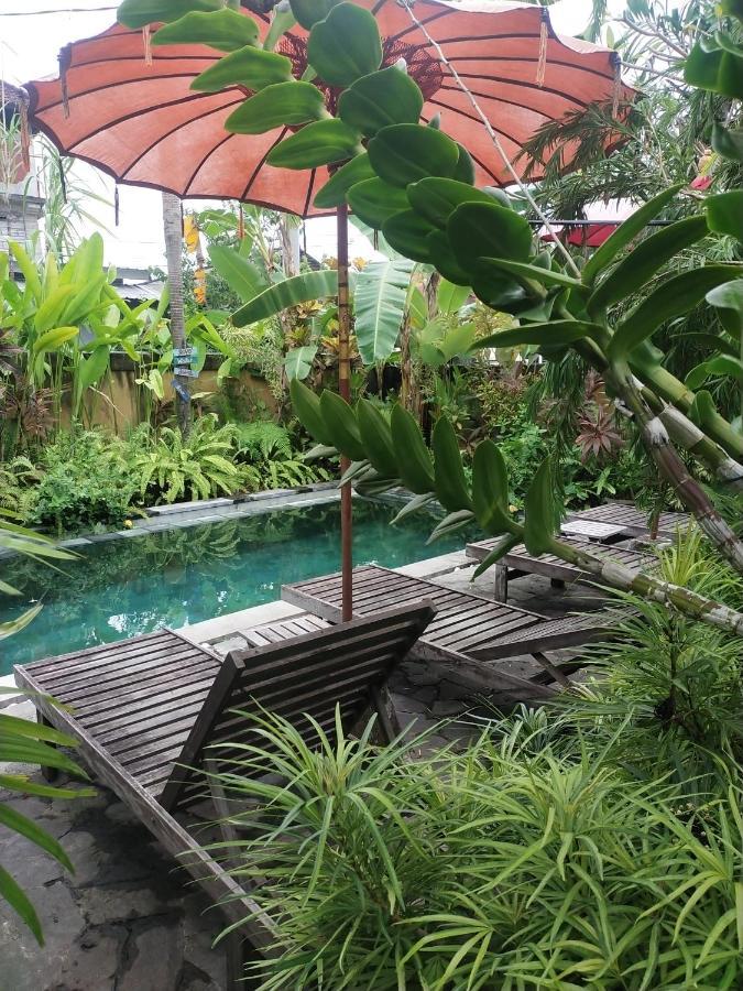 Comeback Guesthouse Canggu Dış mekan fotoğraf