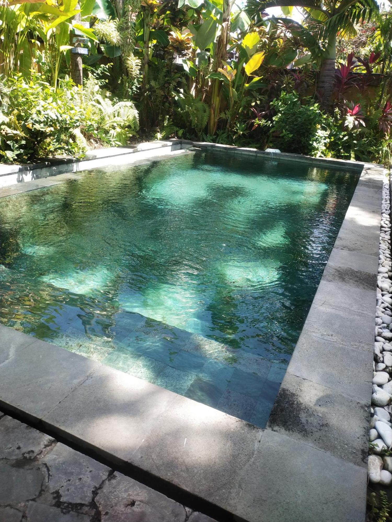 Comeback Guesthouse Canggu Dış mekan fotoğraf