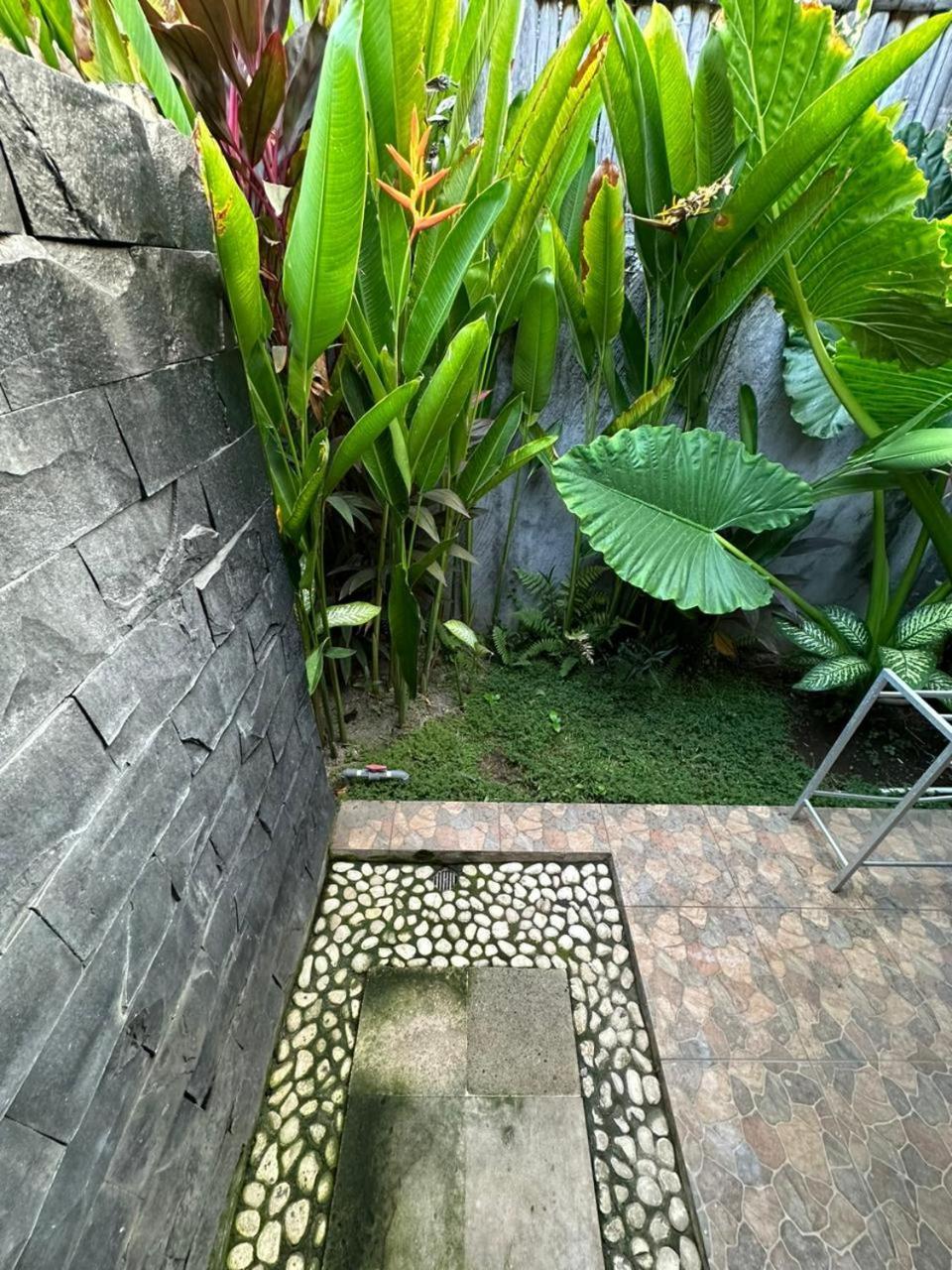 Comeback Guesthouse Canggu Dış mekan fotoğraf