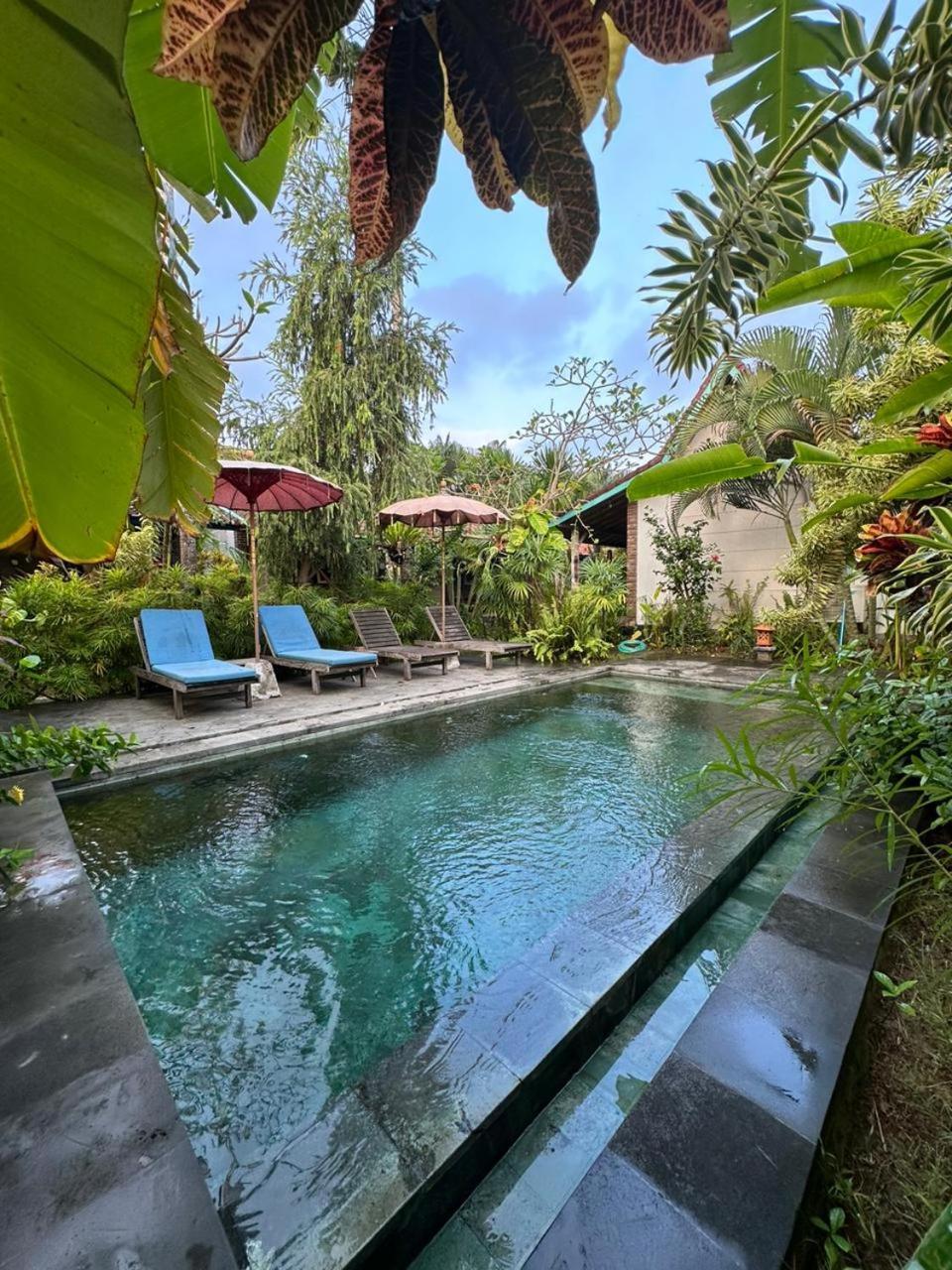 Comeback Guesthouse Canggu Dış mekan fotoğraf