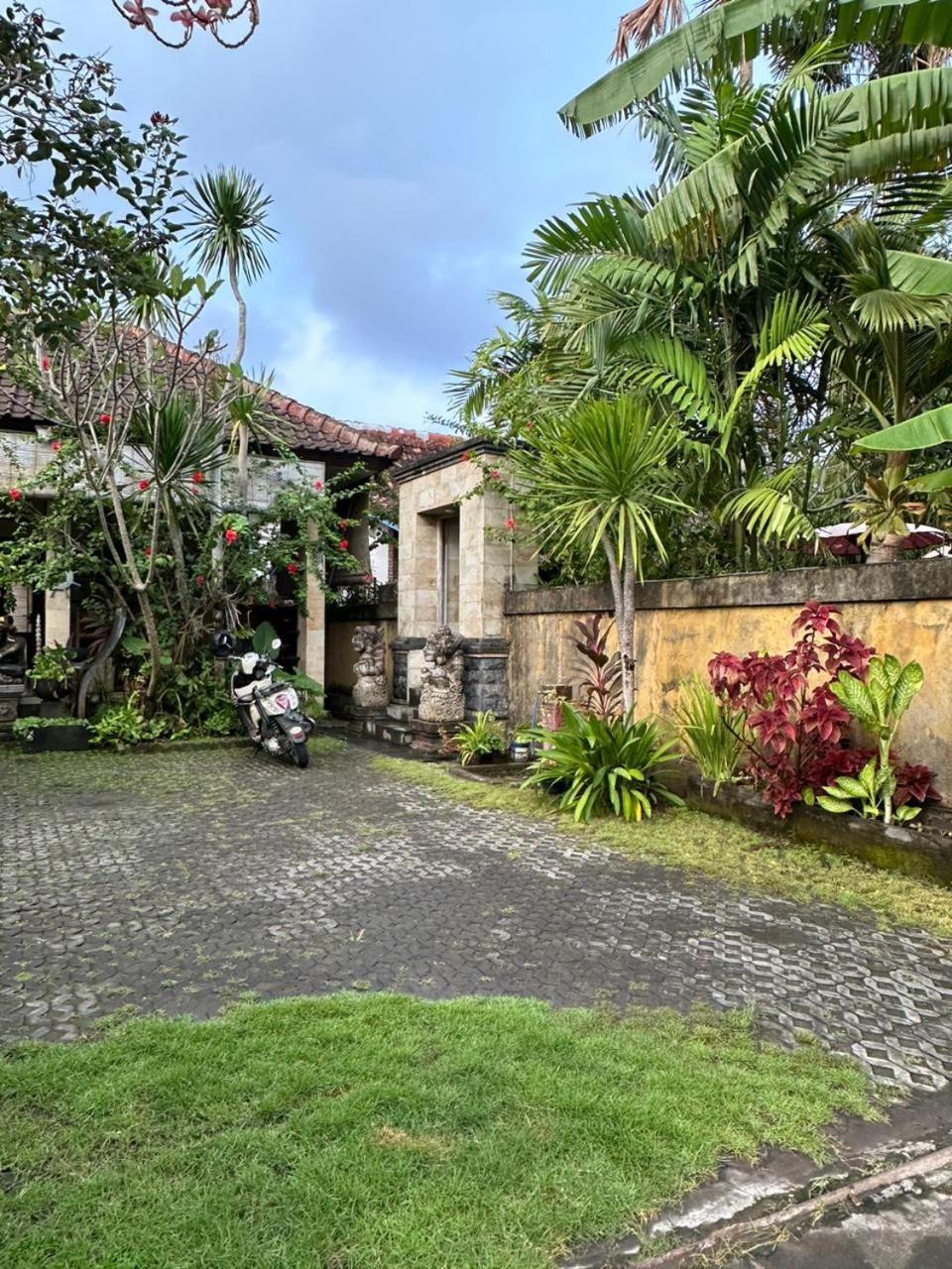 Comeback Guesthouse Canggu Dış mekan fotoğraf